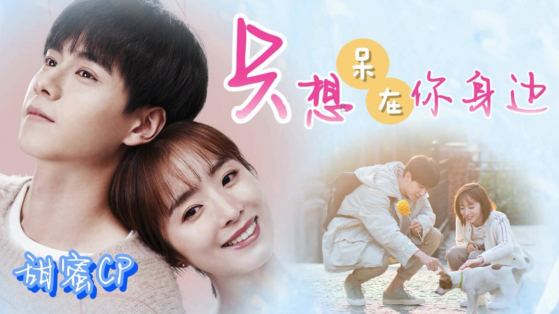 袋鼠兄弟2