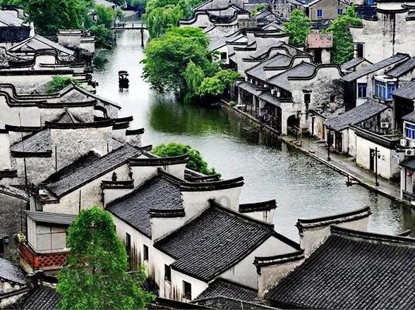 独眼萌怪吃金币